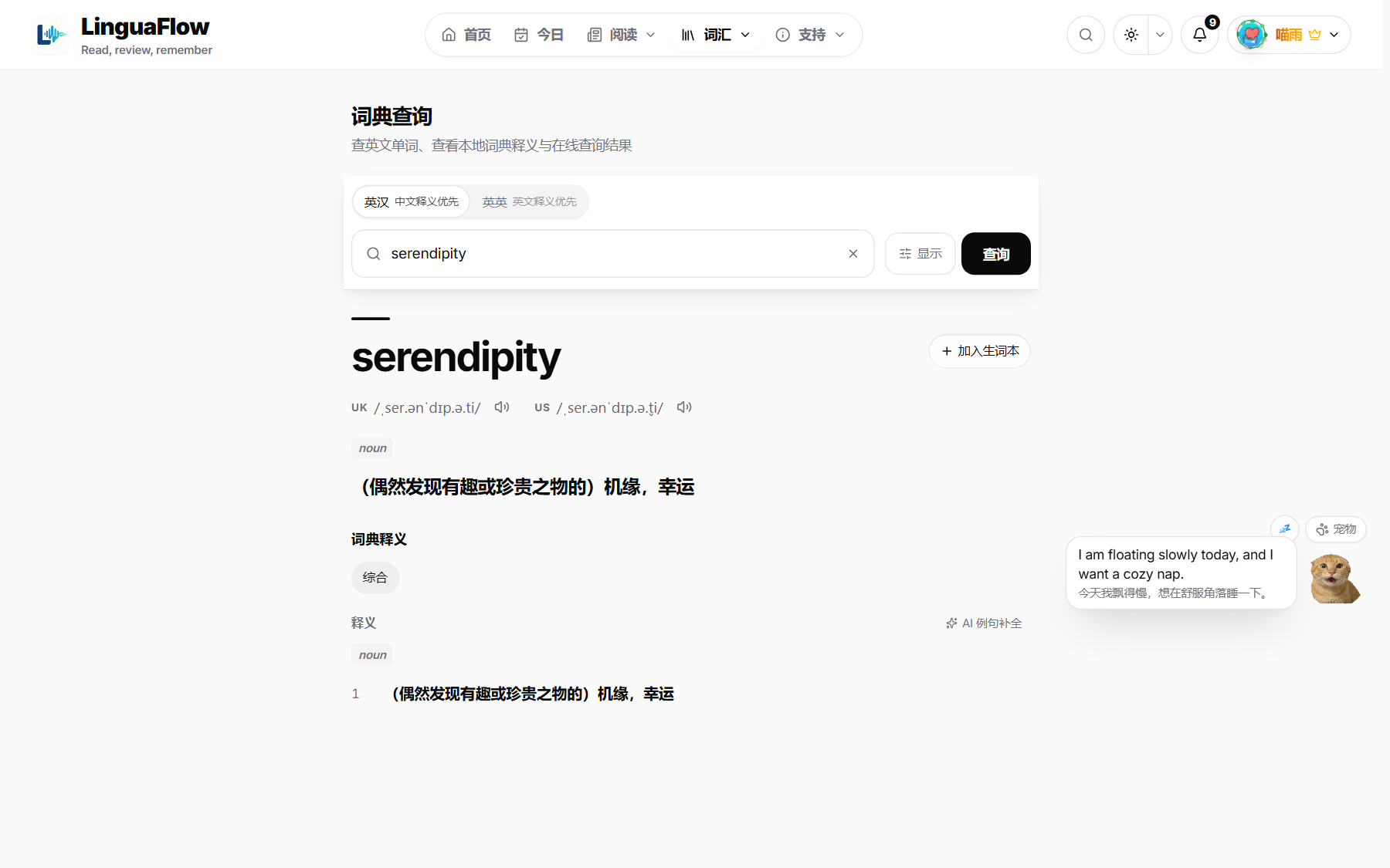 词典查词结果