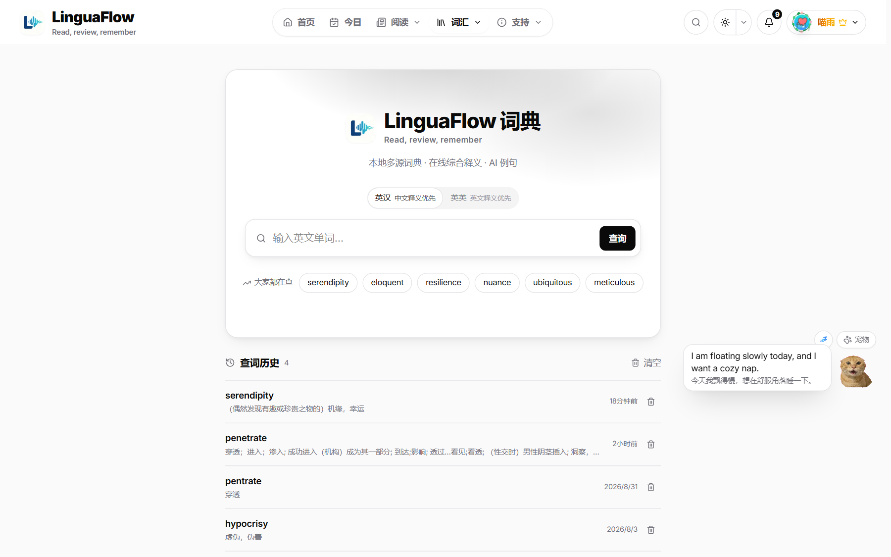 词典查词界面